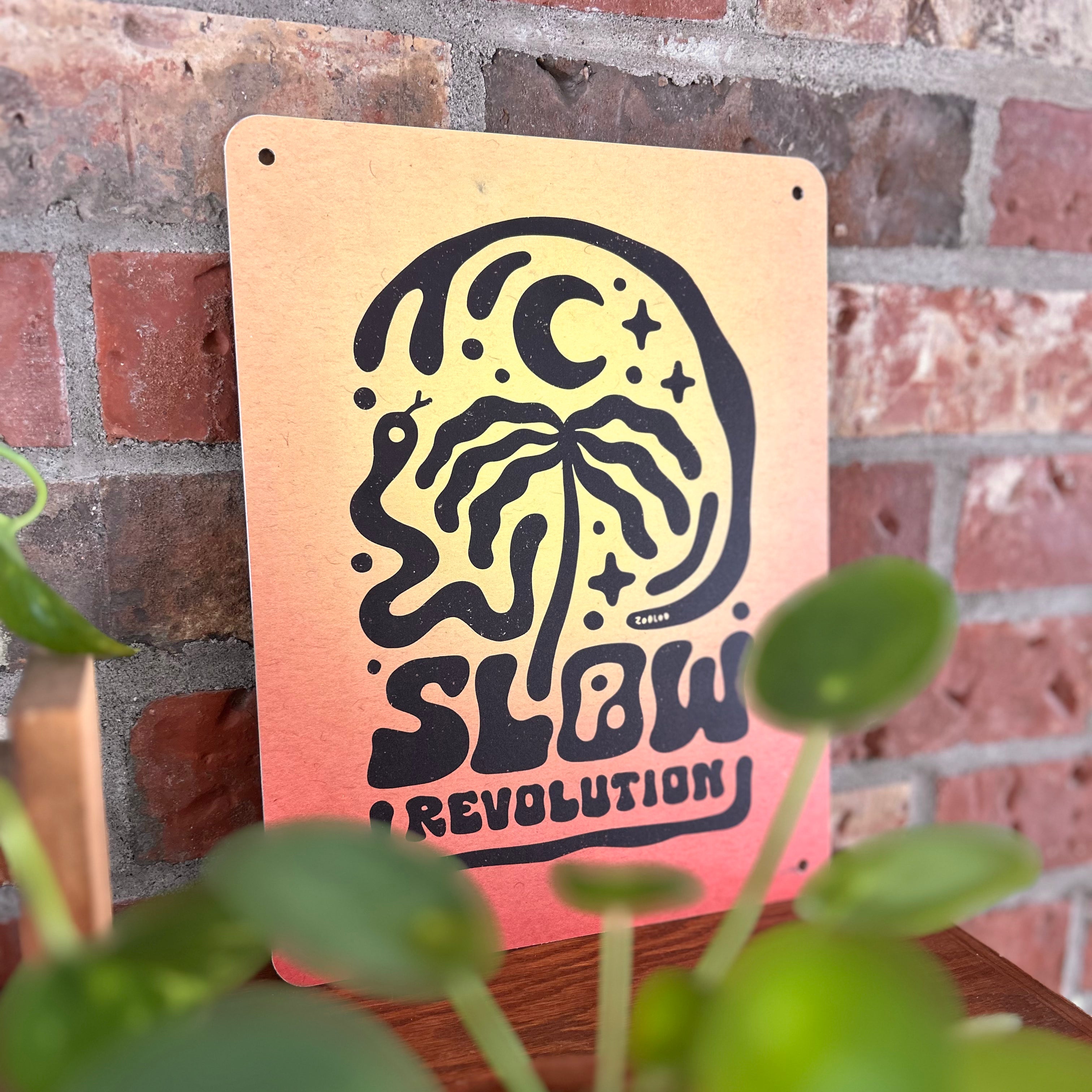 Slow Revolution