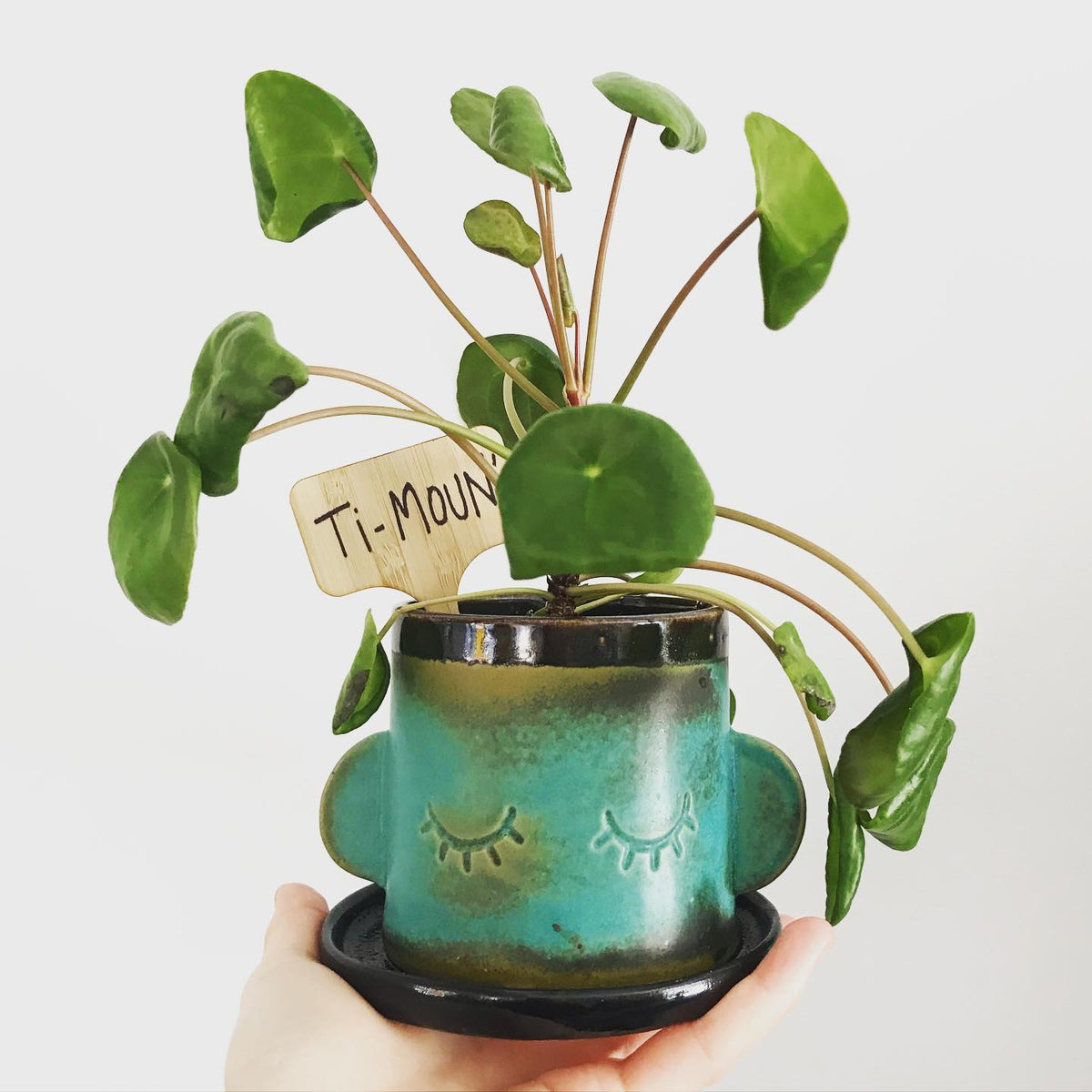 Plant Mom