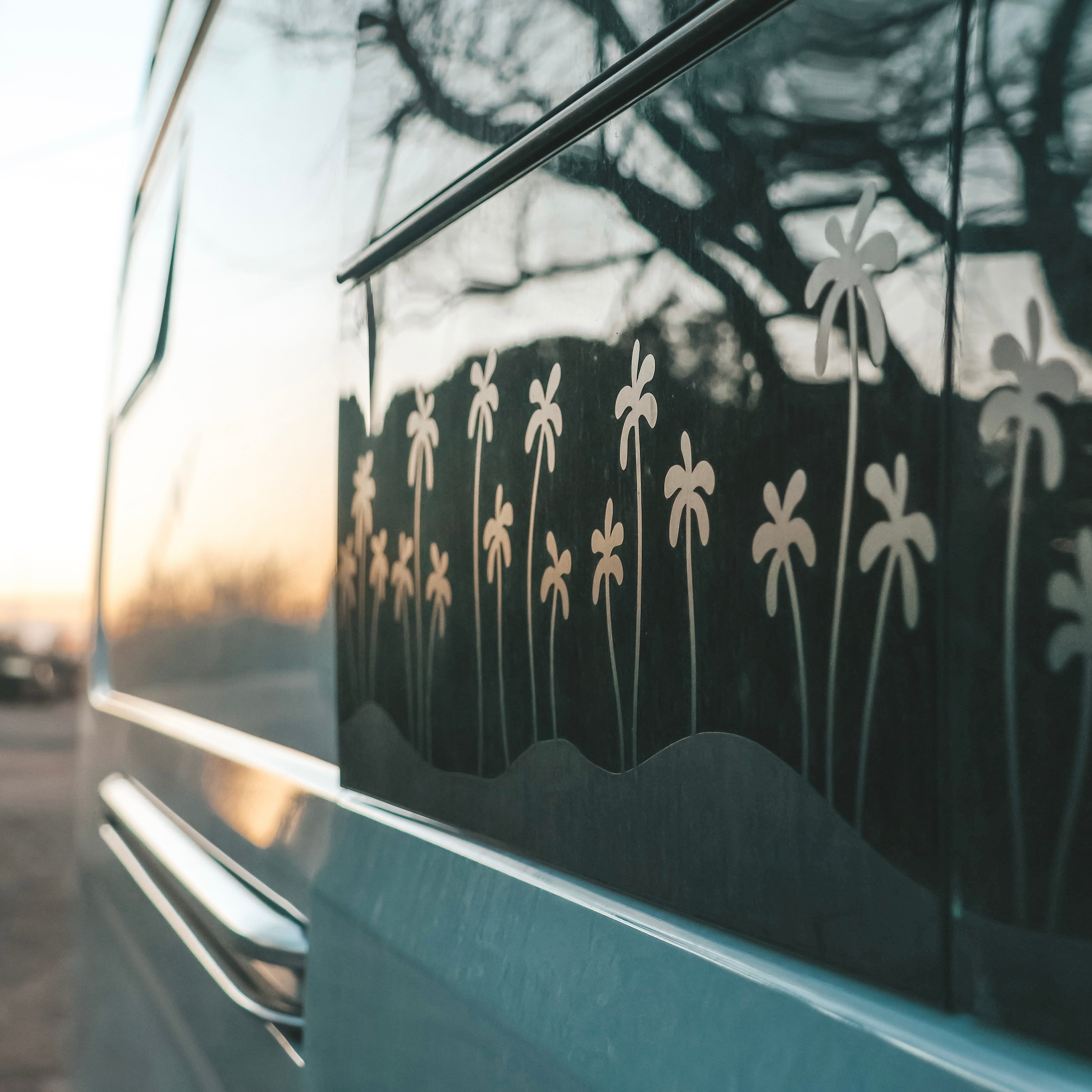 Coconuts Dream — Sticker tropical surf & vanlife