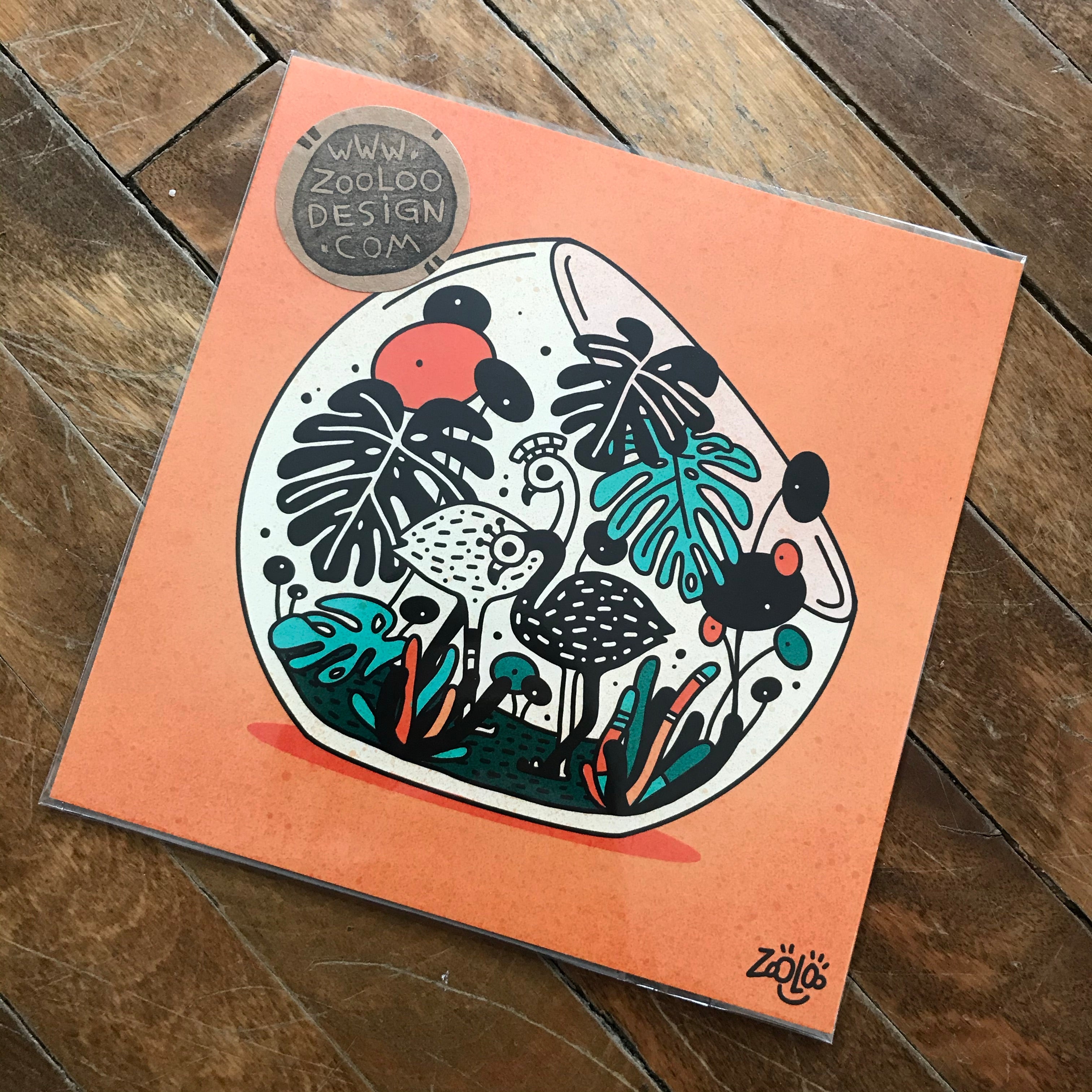 Flamingos